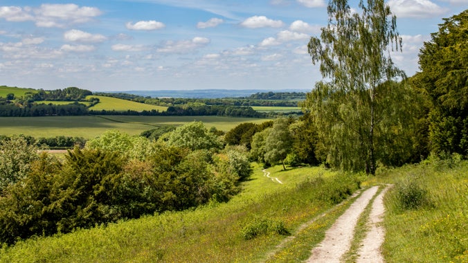 Path on Watlington Hill, Buckinghamshire